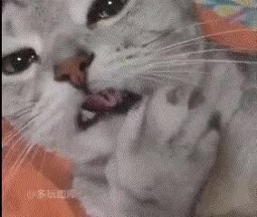 0 유혹 발다닥 혓바닥