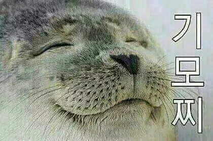 감사 고마워 ㄱㅅ 기모찌 감사합니다