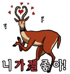 니가젤좋아 럽럽 러브러브 아재 아재개그