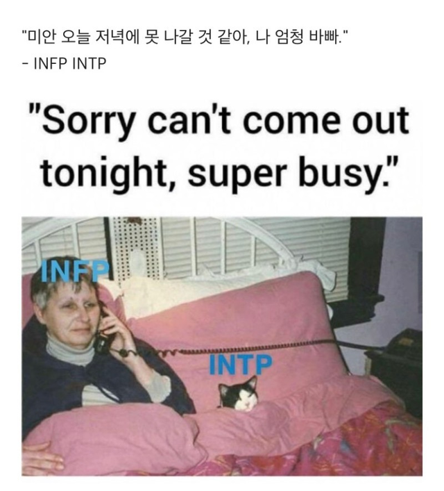 INFP INTP MBTI 성격 유형 취향 mbti짤 mbti짤방 mbti타입