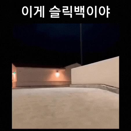 슬릭백 백구 슬릭백구 멍짤 신남 깡총깡총 강아지 개 멍멍이 뿅뿅