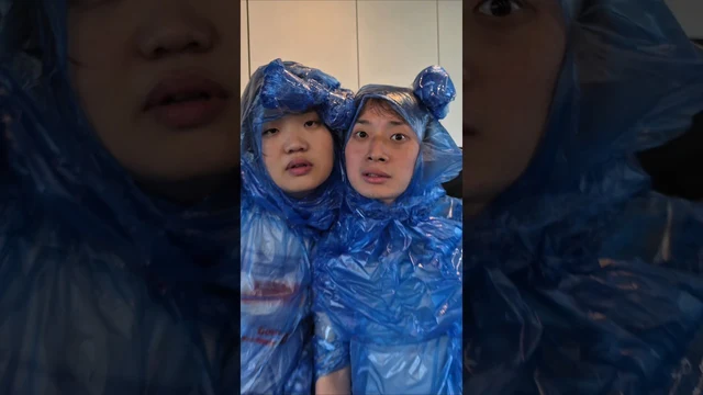 팔리아치 · 개굴개굴 춤추며 점프하다