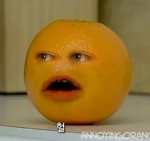 귤 오렌지 니가?!