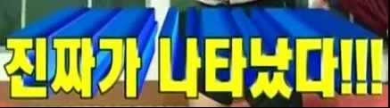 진짜가나타났다 진짜