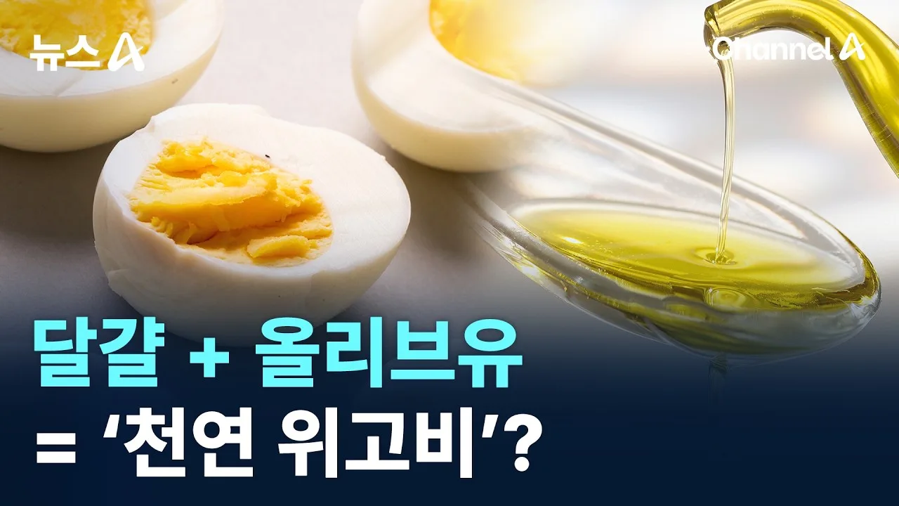 채널A 뉴스 — 달걀+올리브유 ‘천연 위고비’?