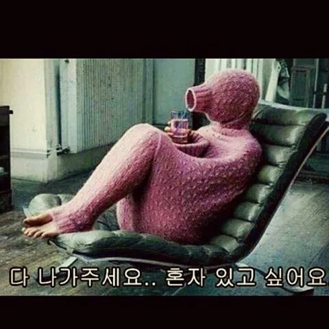 최근 인기 짤방 리스트 - 오늘의짤방