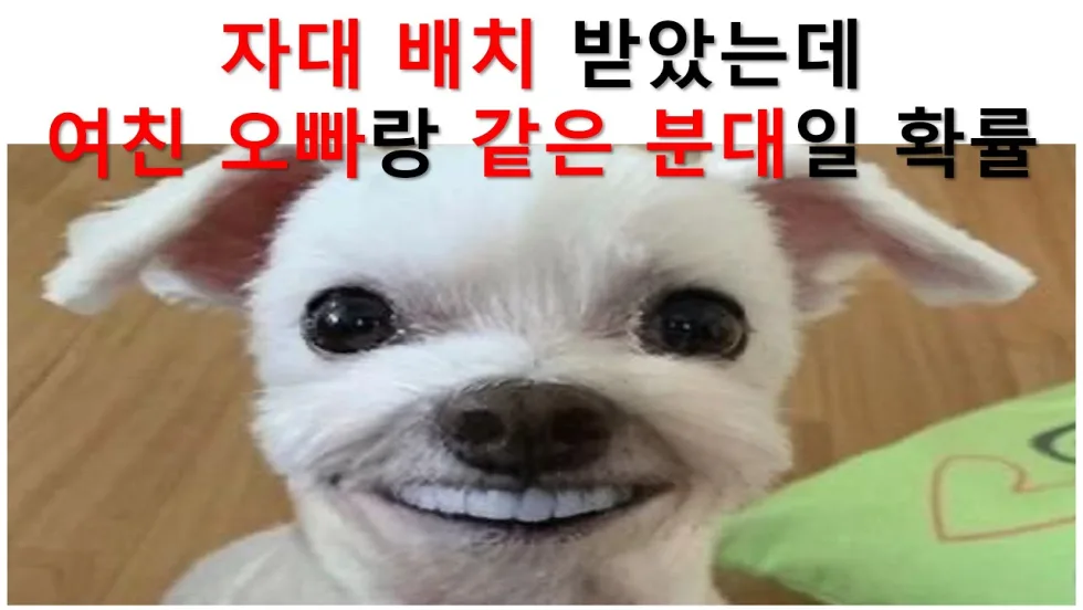 웃긴짤 레전드 모음 5탄 평화로운 짤방 웃긴짤 유머