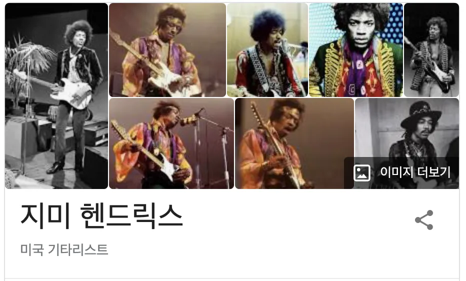 지미헨드릭스 헨드릭스 hendrix