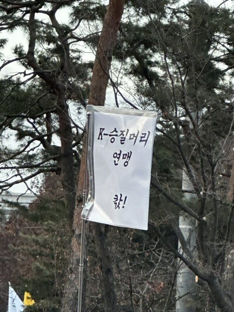 윤석열 탄핵 시위 깃발 K승질머리 연맹 칷 민주주의 깃발시위 센스