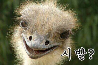 머라고? 욕 화남