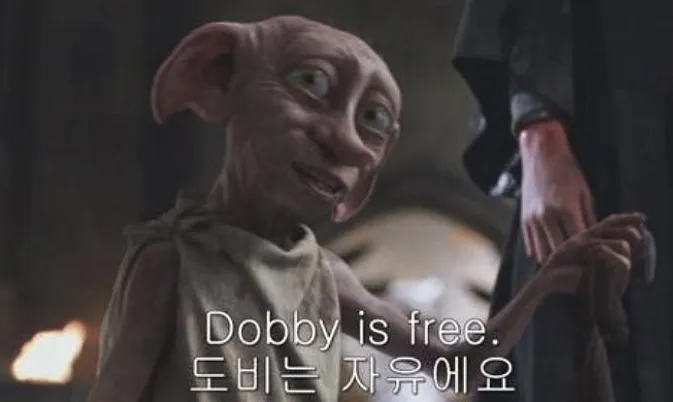 퇴사 자유 도비