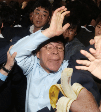 장고릴라 바나나