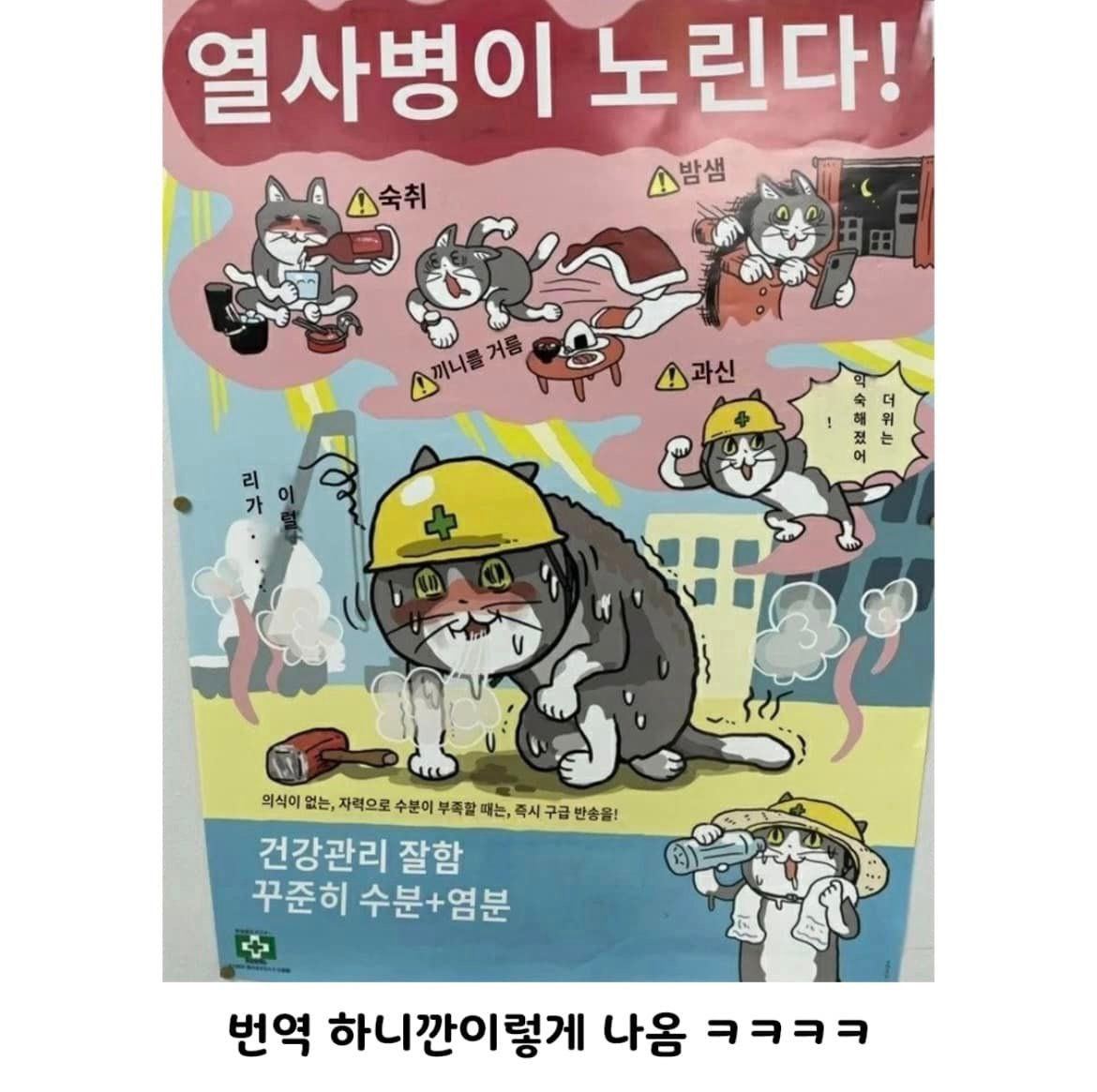 열사병이 노린다 숙취 밤샘 과신 끼니를 거름 #고양이 #냐옹 #냥짤