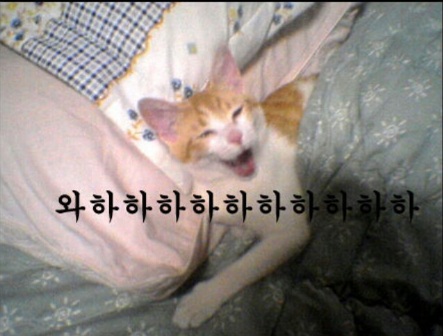 와하하하ㅏ하ㅏ하하하하ㅏ하하하 웃음 행복