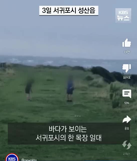 제주 올레길에서 골프 치는 진상 부부