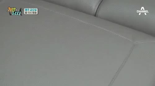 치명적인뒤태 사모예드 솜사탕
