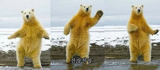피키 약올리기 잔망잔망
