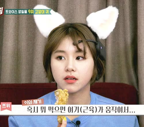 토끼 거짓말 거..거짓말