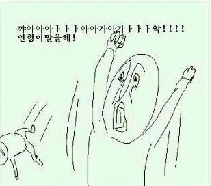 인형
