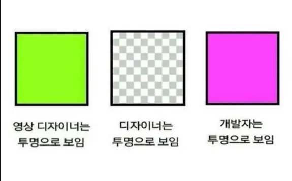 개발자 디자이너