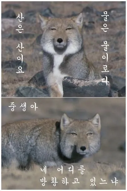 산은 산이요