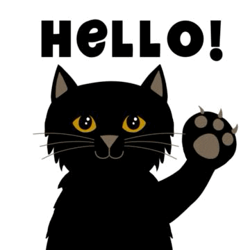 검은 고양이 인사 Hello GIF