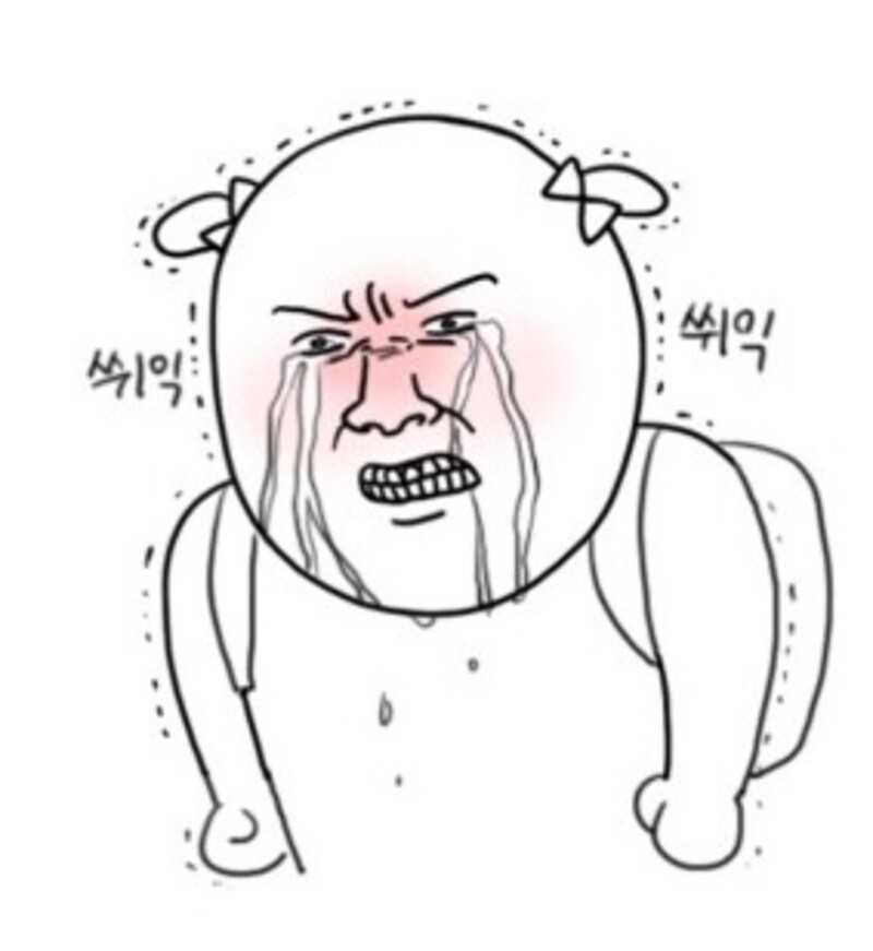 리대최 쒸익쒸익 분노 화남 빡침 억울 눈물 루리웹대장 초딩 짤