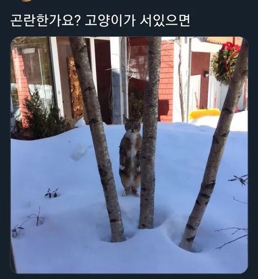 짤 짤방 모음
