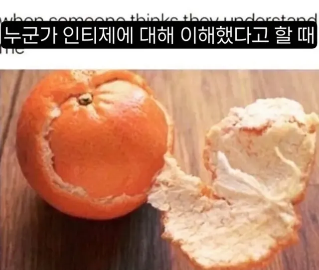 INTJ MBTI 인티제 귤 껍질 이해 복잡 성격 속마음 공감