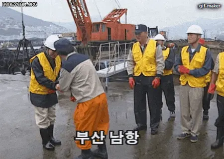 노짱1 노무현 노짱 부산 남항 달리기 조깅 건설 현장 출근 노가다 짤