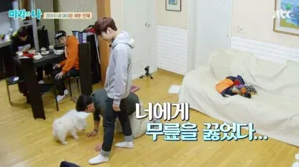 항복 기권 너에게 무릎을 꿇었다
