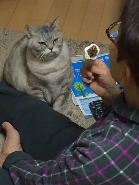 한입만