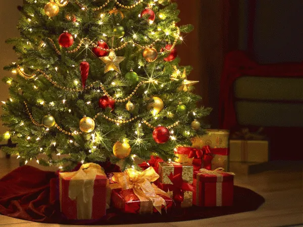 크리스마스 시즌 움짤 Christmas 겨울 tree 트리 나무 겨울 예쁜 반짝 선물