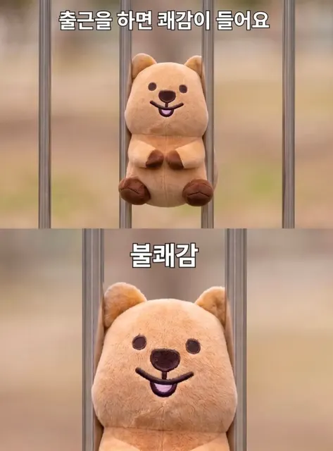 쿼카 출근 불쾌감 직장인 유머 고통 반전