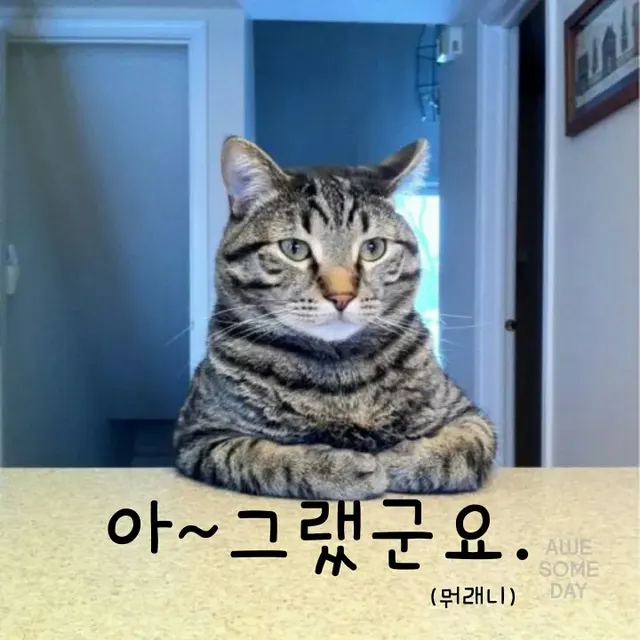 뭐라는거야
