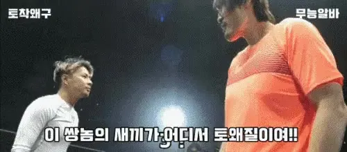 무능알바 토착왜구 선동질 쌍놈의 새끼 어디서 뒷통수 싸다구 최홍만