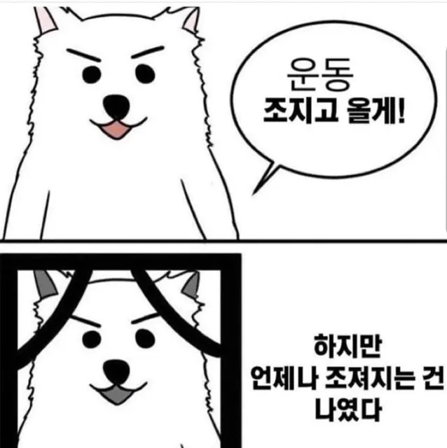 운동 조지고 올게 하지만 언제나 조져지는 건 나였다 #운동 #헬스