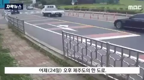 제주도 패러글라이딩