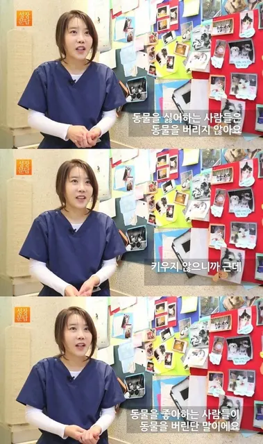 동물 개 고양이 유기묘 유기견