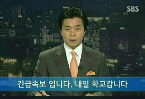 월욜 내일학교 등교 속보 직딩