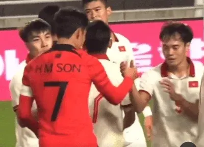 베트남 손흥민 선수들 팬보이 실물 영접 선망 설렘 존경 월클