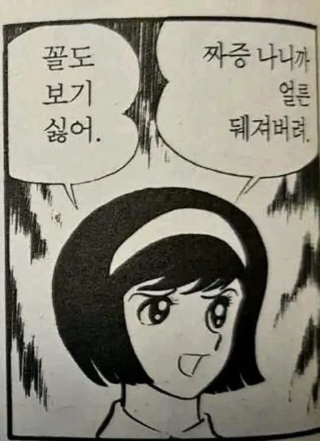 꼴도 보기 싫어 짜증 나니까 얼른 뒈져버려