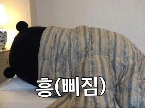 삐짐 흥 뒤돌아 누워서 쿠마몬