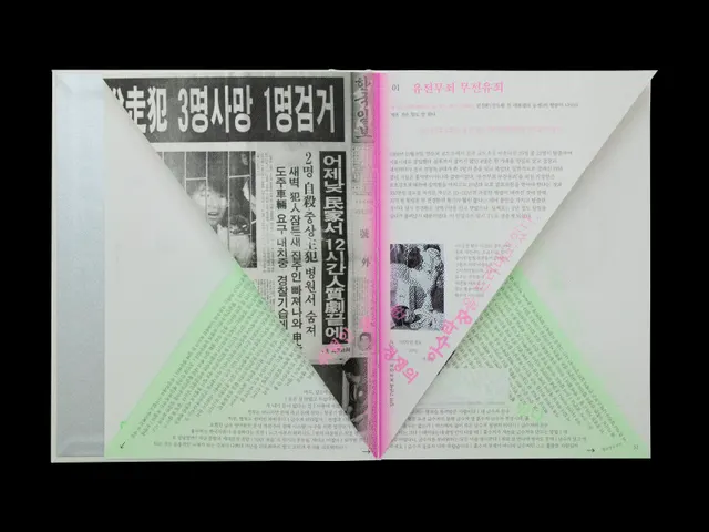 시선 대한민국 교육 현실 수능 N수 팩폭 공부 자극 씁쓸함 노력 재능