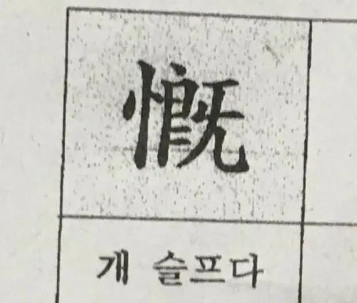 슬픔 개슬프다 개슬픔 한자 안습 눈물