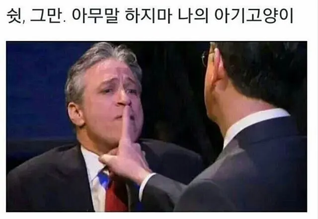 쉿 그만 아무말하지마 나의 아기고양이 웃긴짤