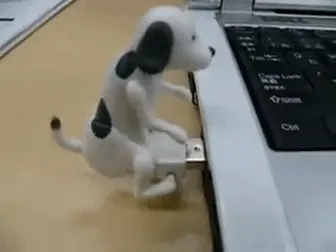 개 usb 강아지 USB 허리돌림 마운팅 노트북 병맛 웃긴 엽기 짤