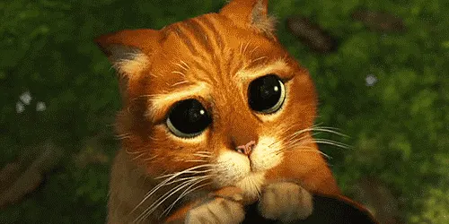 고양이 장화신은고양이 슈렉 눈망울 불쌍한척 간절 부탁 애원 귀여움 짤