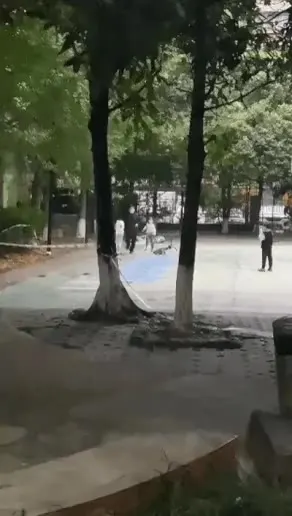 멍짤 강아지 개