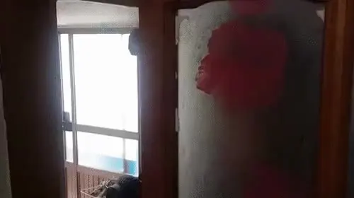 지켜보고있다 지켜봄 기뉴다 조심해라 아프리카